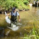 Madblue Limpieza de ríos